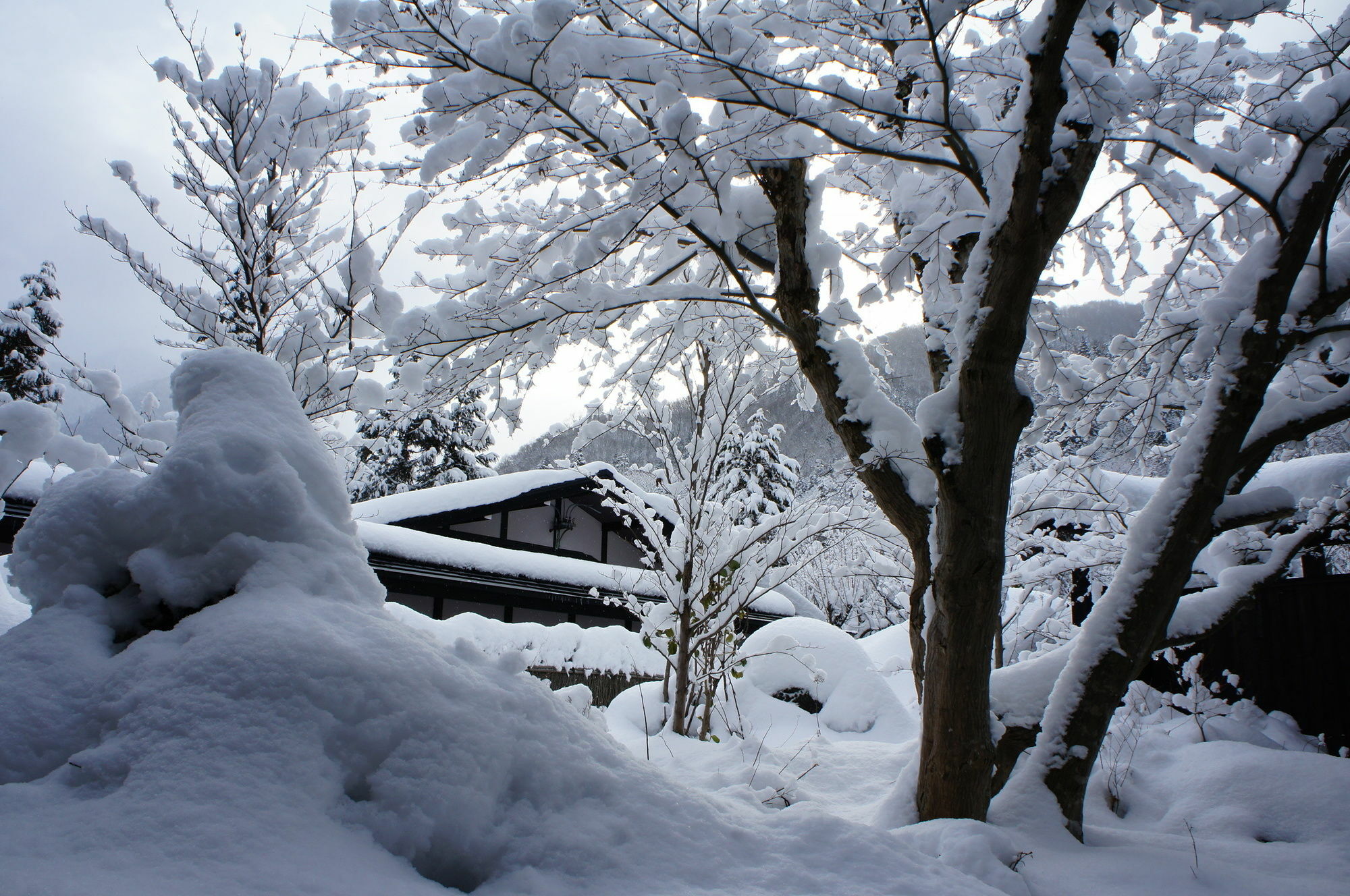 Hotel Hidaji (Adults Only) Takayama  Zewnętrze zdjęcie